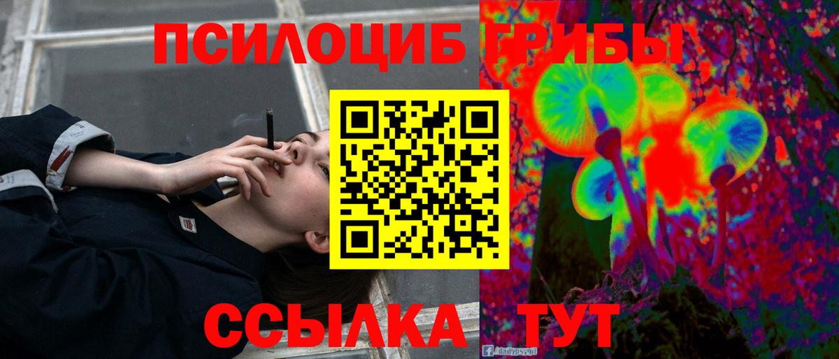 Георгиевск  Псилоцибиновые грибы мухоморы  Вход с VPN 