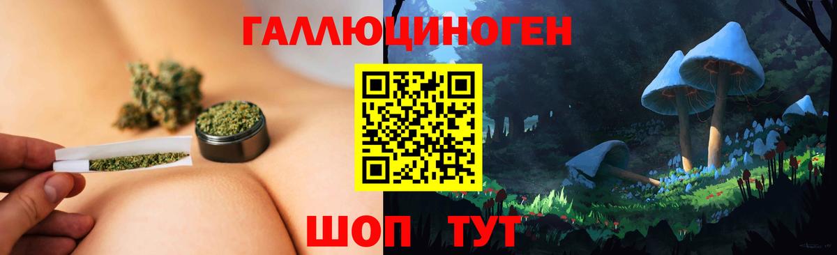 Псилоцибиновые грибы Magic Shrooms Георгиевск