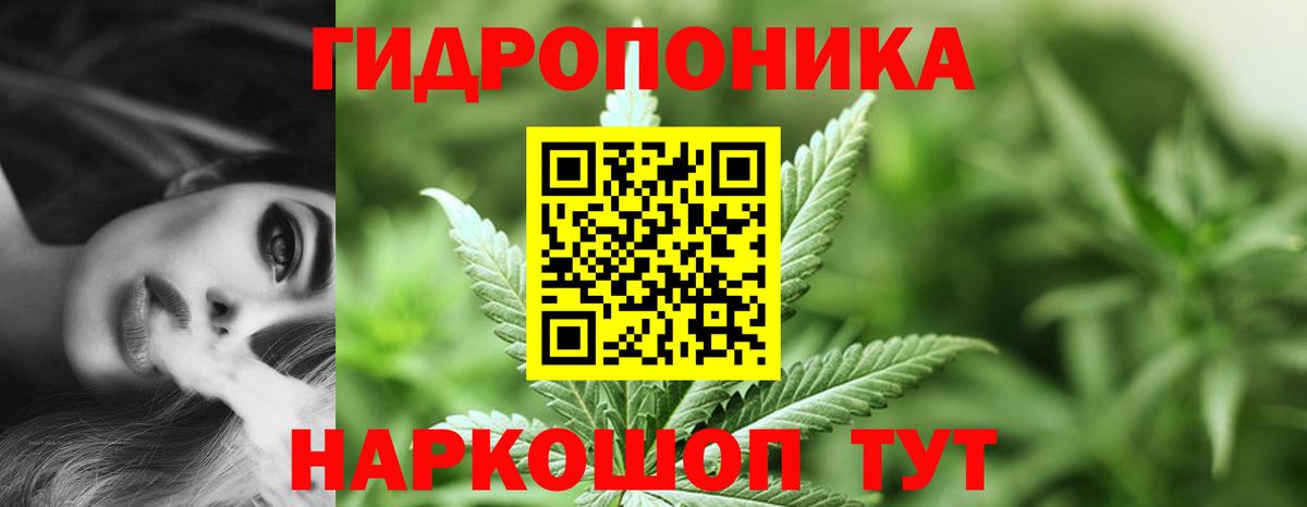 Каннабис ГИДРОПОН Георгиевск